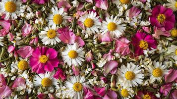 A large pile of flowers with white and pink flowers photo