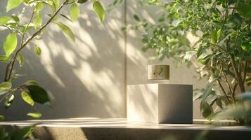 A white box sitting on a table in front of plants photo
