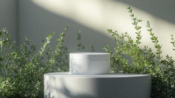 A white container sitting on top of a white pedestal photo