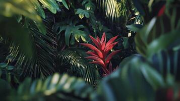 A red flower is in the middle of a jungle photo