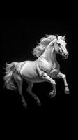 Majestic white horse leaps gracefully against a dark background, showcasing strength and elegance in a dramatic pose photo