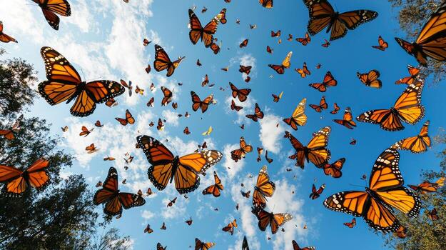 muchos mariposas son volador en el cielo foto