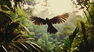 A bird flying through the jungle photo