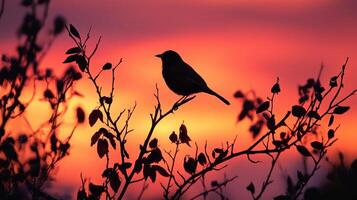 A bird is perched on a branch in front of a sunset photo