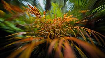 A blurry image of a plant in the forest photo