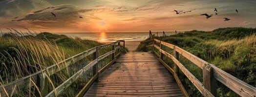 A wooden boardwalk leads to the beach at sunset photo