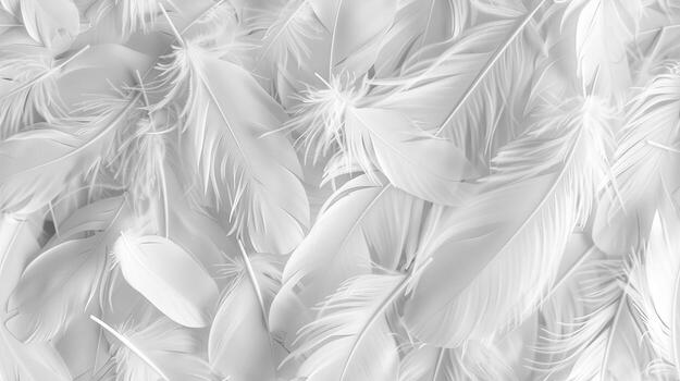Feathers background, white background, feather texture, feather texture, feather texture, feather texture photo