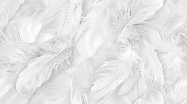 White feathers on a white background photo