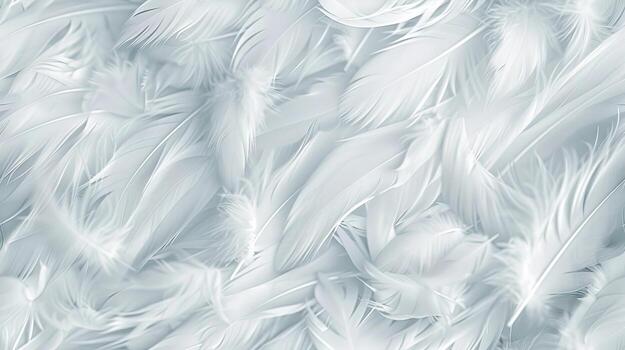 White feathers background, texture, texture, texture, texture, texture, texture, texture, texture photo