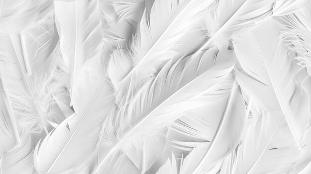 White feathers background, texture, texture background, texture background, texture background, texture background, texture photo