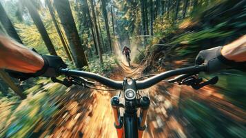 Mountain biking in the forest photo