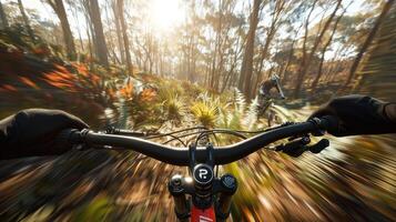 A person riding a mountain bike through the woods photo