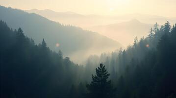 A mountain range with trees and sun shining through photo
