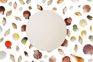 seashells decoration with round frame template photo