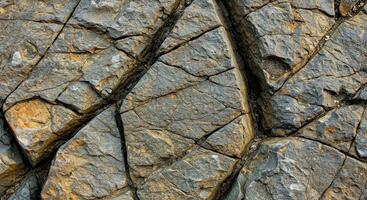A close up of a rock wall with many different shapes photo
