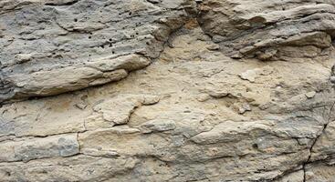 A close up of a rock wall with a bear photo