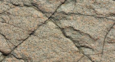 A close up of a rock with a pattern on it photo