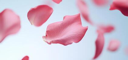 Gently falling rose petals create serene and romantic atmosphere photo