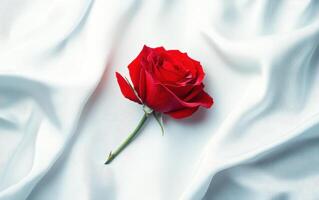 single red rose resting on soft white fabric, symbolizing love and elegance. delicate petals contrast beautifully with smooth texture photo