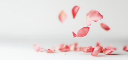 Close up shot of rose petals gently falling, creating serene atmosphere photo