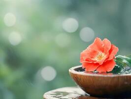 vibrant red rose floating in wooden bowl, surrounded by soft rain and blurred greenery, evokes serene and peaceful atmosphere photo