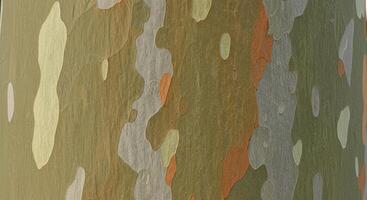 A close up of a tree with a lot of paint on it photo