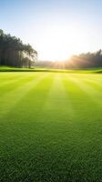 serene view of professional golf course with lush green grass, illuminated by warm sunlight photo