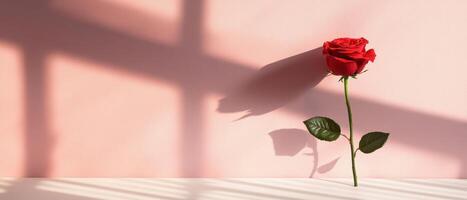 single red rose casts shadow on soft pastel background, creating serene atmosphere photo