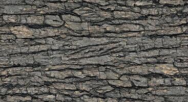 A close up of a black and white texture photo