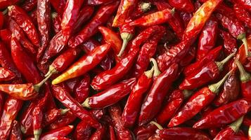 sun-dried red chili pepper background photo