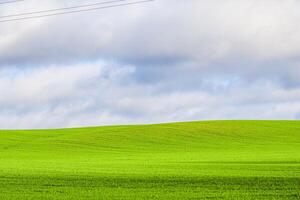 Green grass field on hills and blue sky with clouds in the countryside. Natural landscape photo