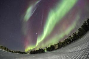Northern Lights in Lapland Inari Nellim Lakes forest green and purple aurora photo