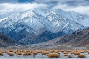 A snowy mountain range with brown grass and snow photo