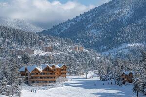 A ski resort with many trees and buildings photo
