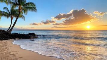 serene beach sunset with palm trees and gentle waves lapping shore photo