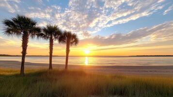 serene beach sunset with palm trees silhouetted against sky photo