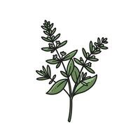 A plant with leaves and leaves on it vector