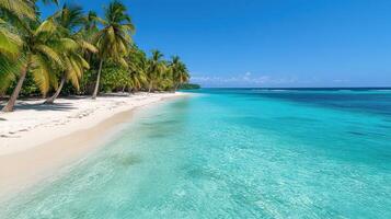 tropical beach with palm trees and clear turquoise water creates serene atmosphere photo