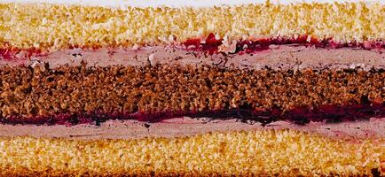 Delicious cake layers showing filling and frosting closeup photo