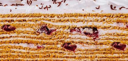 Delicious cake layers showing filling and toppings close up photo