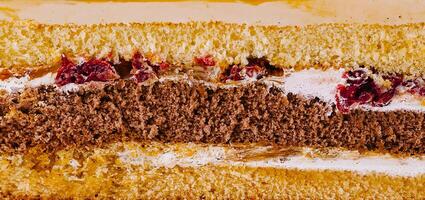 Close up Delicious cake layers showing filling and frosting photo