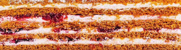 Close up Layers of delicious cake with cream and fruit filling photo