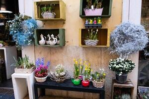 A vibrant flower shop display with an array of colorful blooms in pots. photo