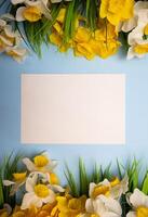Vertical spring greeting card for message with yellow flowers and grass photo