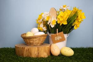 Easter card with daffodil flowers colorful eggs in twigs basket on grass photo
