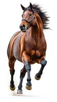 Majestic horse running swiftly in an open field during daylight, showcasing strength and grace in motion photo