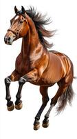 Powerful brown horse leaps with grace against a plain background showcasing its strength and beauty in motion photo