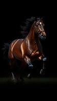 Majestic brown horse galloping swiftly in a dark environment showcasing strength and elegance photo