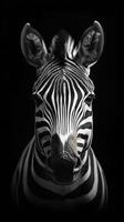 Zebra portrait showcasing striking black and white stripes against a dark background highlighting its features and character photo
