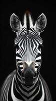 Majestic close-up of a zebra displaying its striking black and white stripes against a dark background photo